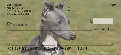 Greyhound Puppies