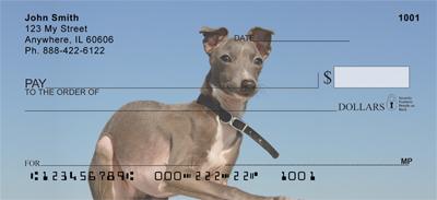 Greyhound Puppies