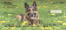 German Shepherds Outdoors