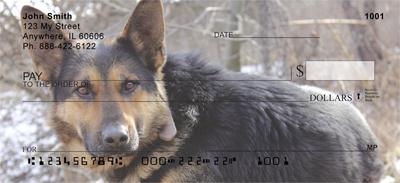 German Shepherds Outdoors