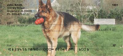German Shepherds Outdoors