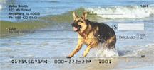 German Shepherds On The Beach