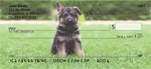 German Shepherd Puppies