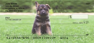 German Shepherd Puppies
