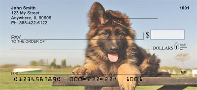 German Shepherd Puppies
