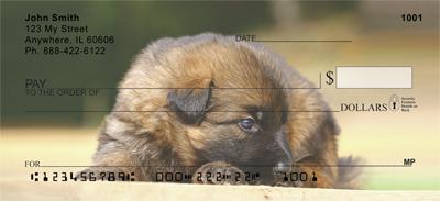 German Shepherd Puppies