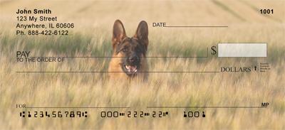 Alert German Shepherds