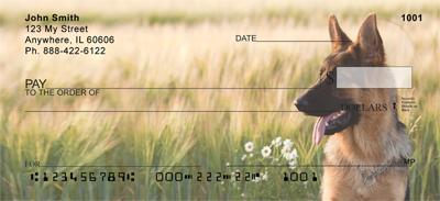 Alert German Shepherds