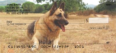 Alert German Shepherds