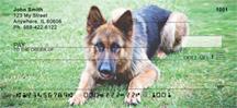 German Shepherds On The Grass