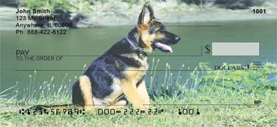 German Shepherds On The Grass
