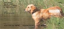 Golden Retrievers By The Water