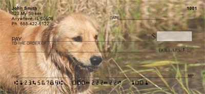 Golden Retrievers By The Water