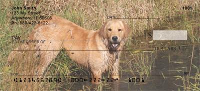 Golden Retrievers By The Water