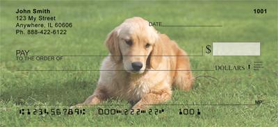 Goldens In The Grass
