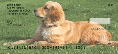 Goldens In The Grass