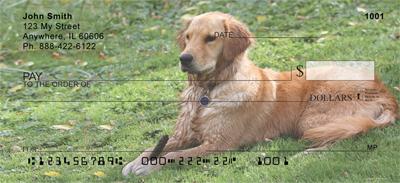 Goldens In The Grass