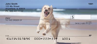 Golden Retrievers On The Beach