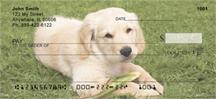 Golden Pups Outdoors