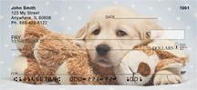 Golden Retriever Puppies