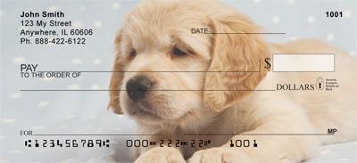Golden Retriever Puppies