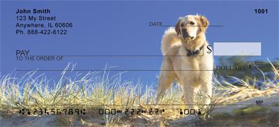Watchful Golden Retrievers
