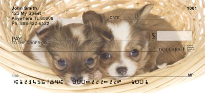 Basket of Chihuahuas