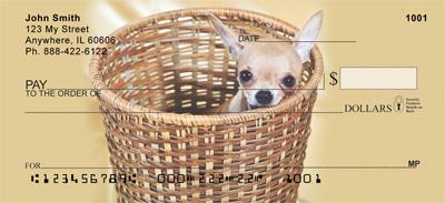 Basket of Chihuahuas