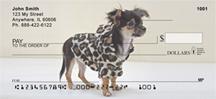 Stylish Chihuahuas