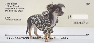 Stylish Chihuahuas