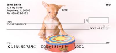 Cute Chihuahua Pups