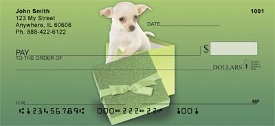 Chihuahua Surprise