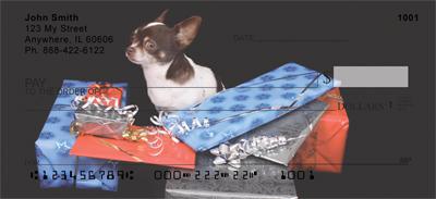 Chihuahua Surprise