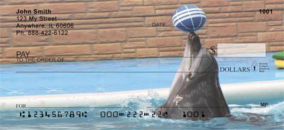 Playful Dolphins