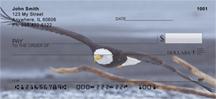 Bald Eagle In Flight