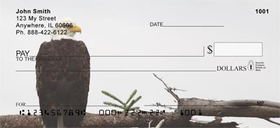 Perching Eagles