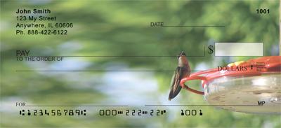 Hummingbirds On Feeders