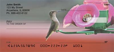 Hummingbirds On Feeders