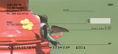 Hummingbirds On Feeders
