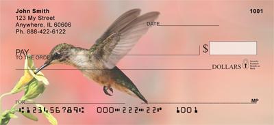 Feeding Hummingbirds