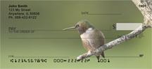 Resting Hummingbirds