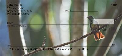 Resting Hummingbirds