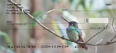 Resting Hummingbirds