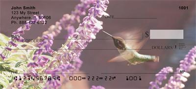 Colibri Hummingbirds
