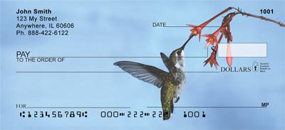 Colibri Hummingbirds