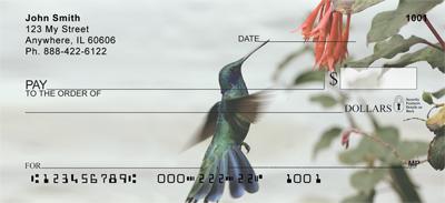 Colibri Hummingbirds