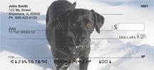 Black Labs In The Snow