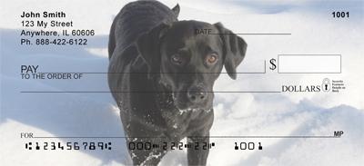 Black Labs In The Snow