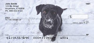 Black Labs In The Snow