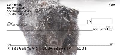 Black Labs In The Snow